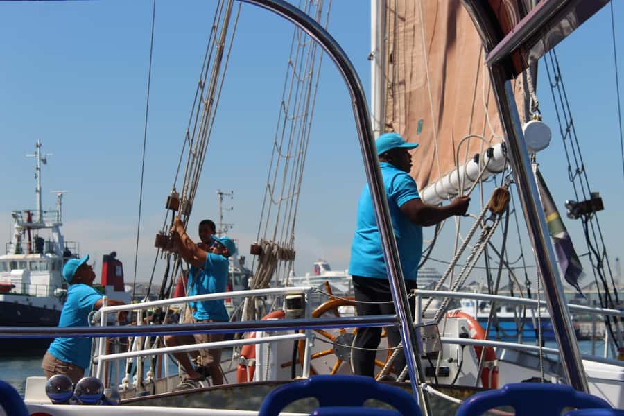Cape Town: 1 Hour Table Bay Sailing Tour - The value of a $21 one-hour cruise