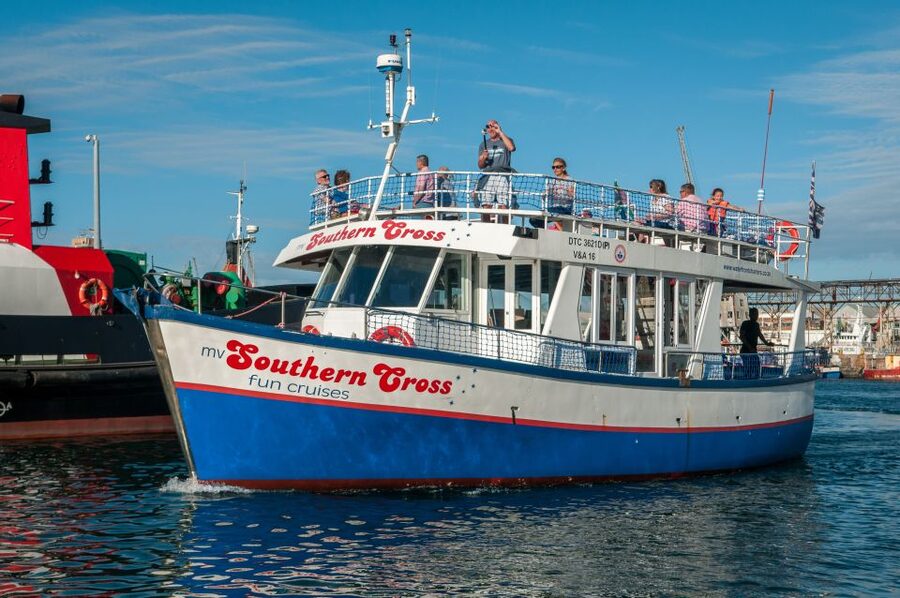 Cape Town: 30 Minute Harbour Boat Cruise with Seal Watching - A Short Cruise With Seals at Center Stage