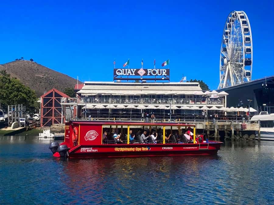 Cape Town: 30 Minute Seal-Watching Harbour Cruise - Key points at a glance