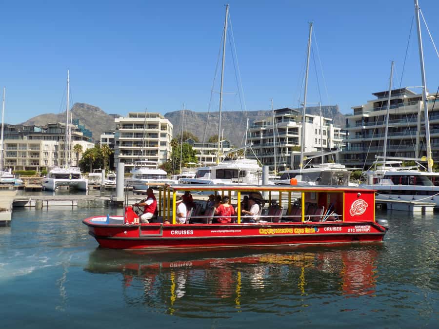 Cape Town: 30 Minute Seal-Watching Harbour Cruise - Starting beside the Two Oceans Aquarium