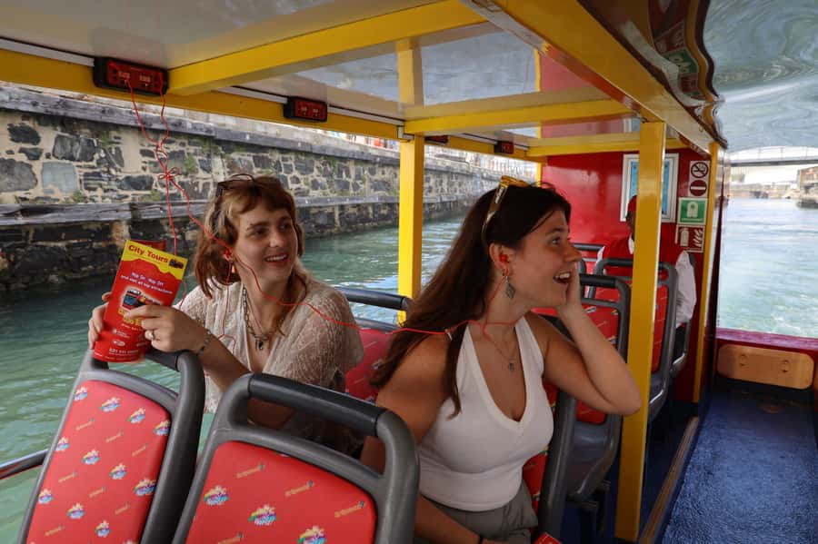 Cape Town: 30 Minute Seal-Watching Harbour Cruise - Watching Cape fur seals around the harbour