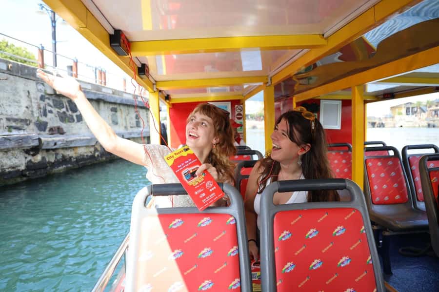 Cape Town: 30 Minute Seal-Watching Harbour Cruise - Table Mountain from the bay