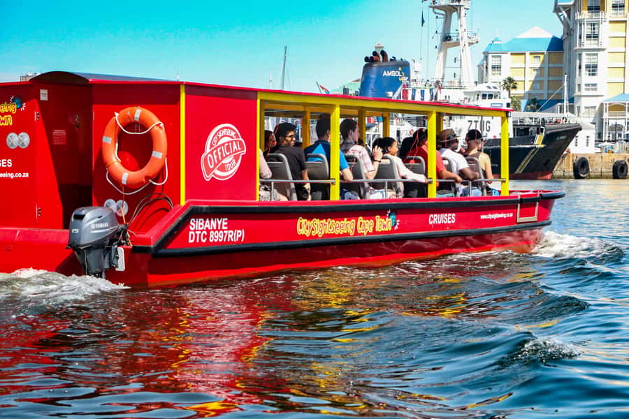 Cape Town: 30 Minute Seal-Watching Harbour Cruise - Commentary in 15 languages