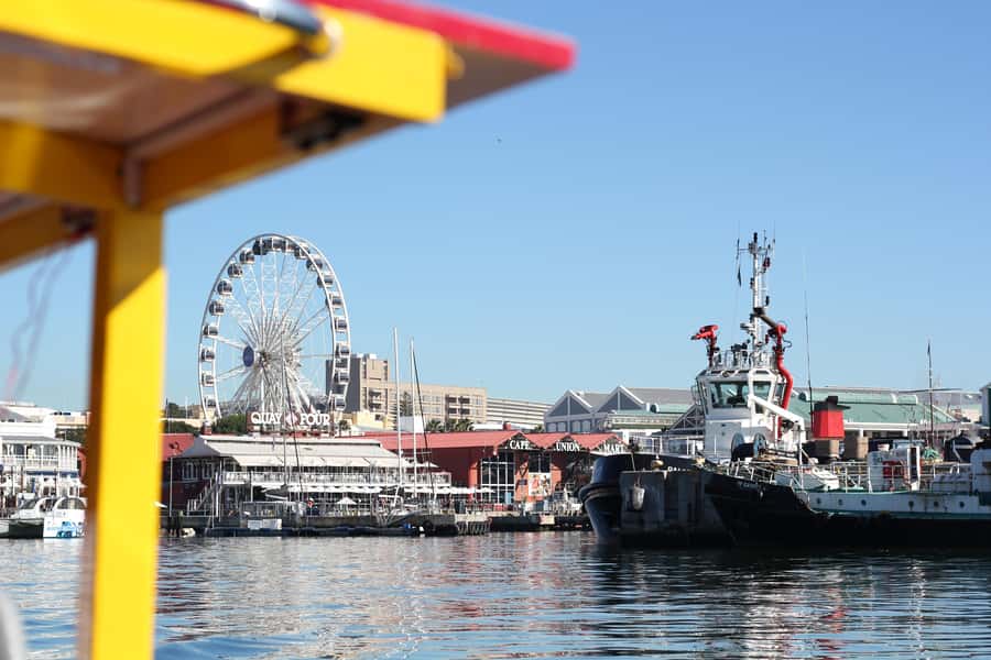 Cape Town: 30 Minute Seal-Watching Harbour Cruise - Who should book this cruise