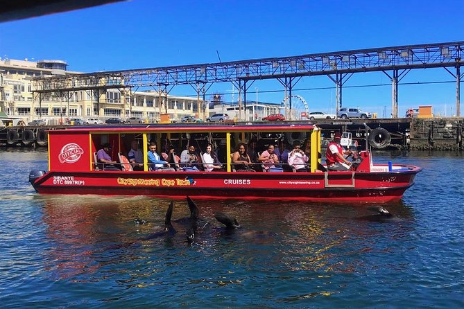 Cape Town 30-minute V&A Harbour Cruise - A quick harbor look with real value