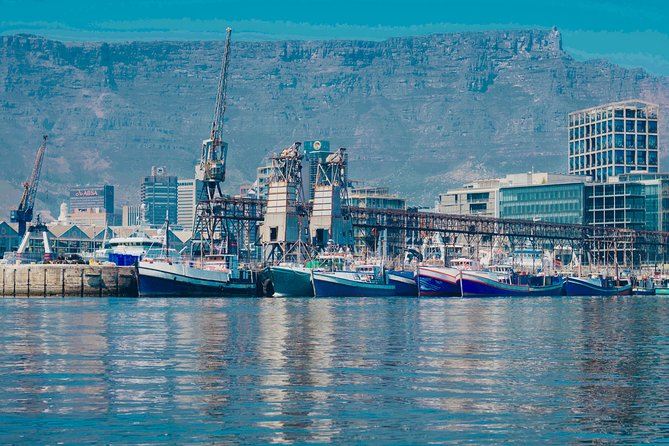 Cape Town 30-minute V&A Harbour Cruise - Who should choose something longer
