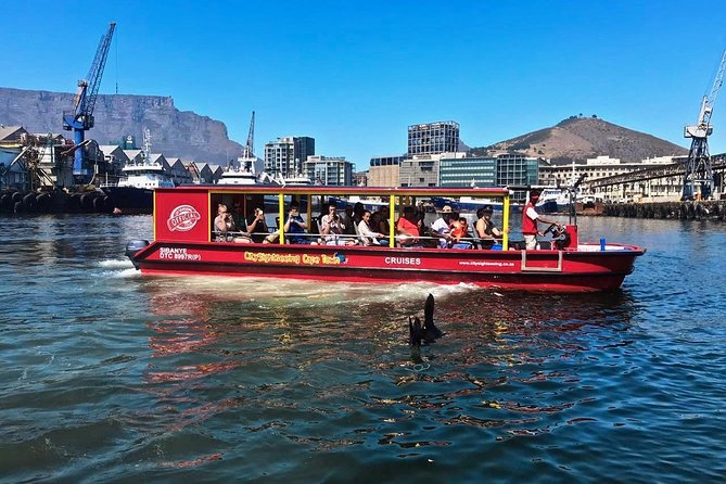 Cape Town 30-minute V&A Harbour Cruise - What you see in 30 minutes