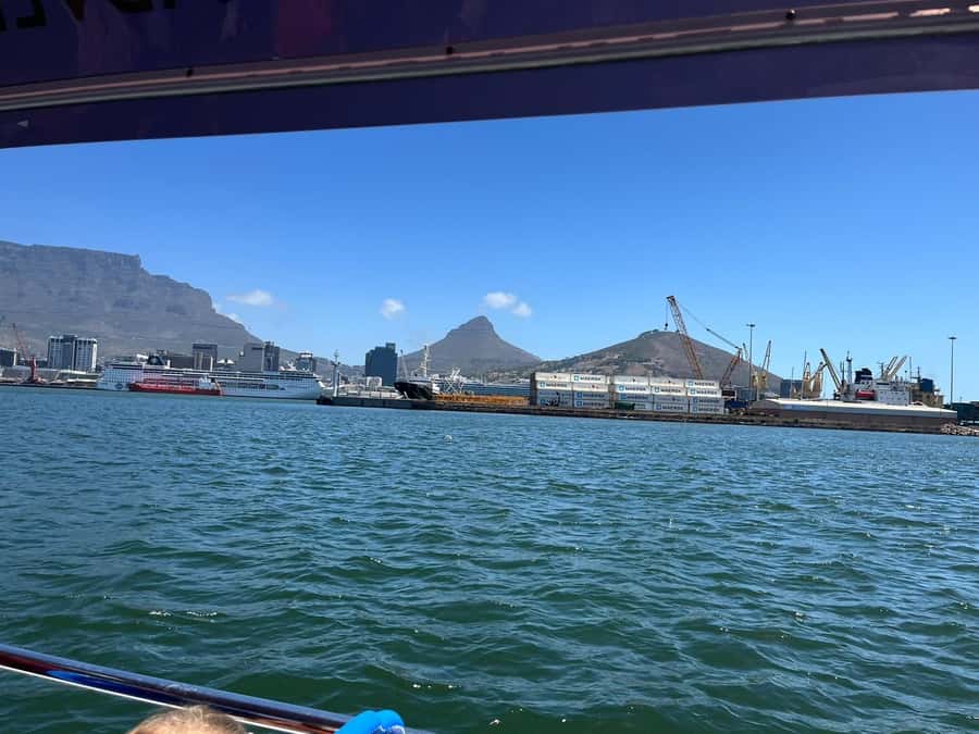 Cape Town: Harbor Cruise - The Old Harbour and International Docks in 30 minutes