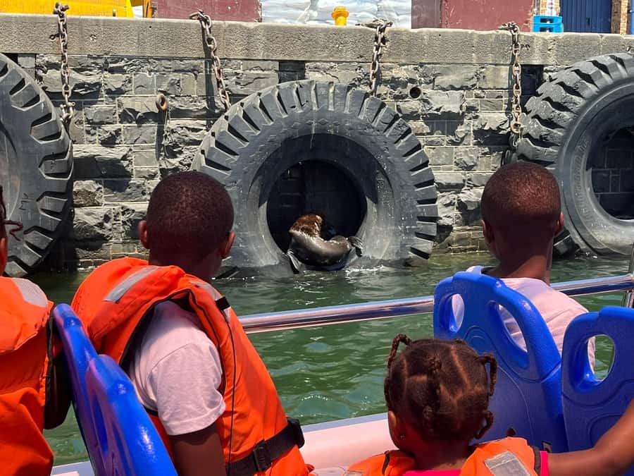 Cape Town: Harbor Cruise - Is the $7 price good value?