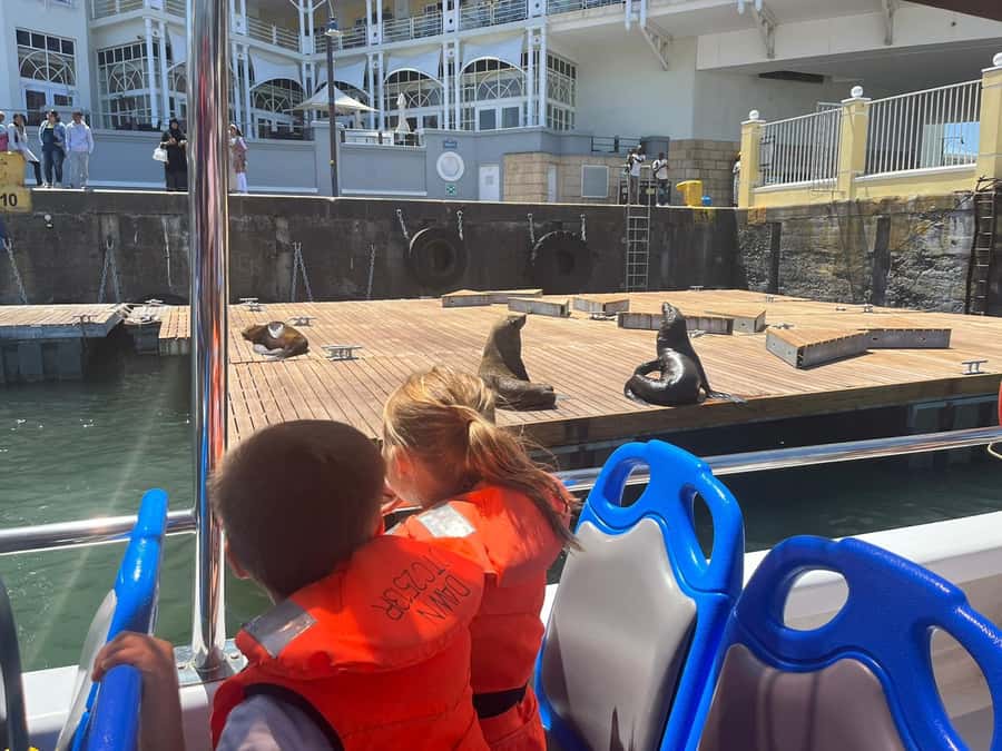 Cape Town: Harbor Cruise - Timing matters more than the short duration suggests