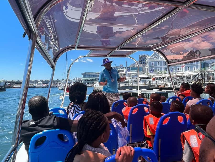 Cape Town: Harbor Cruise - Watching Cape fur seals around the buoys