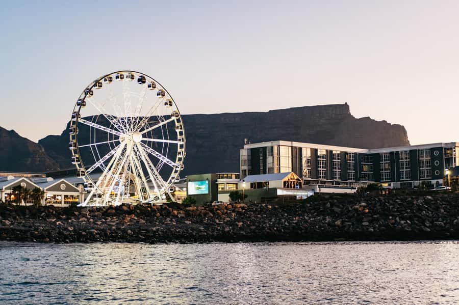 Cape Town: Sunset Catamaran Cruise on Table Bay with Bubbles - Granger Bay with a chance of wildlife