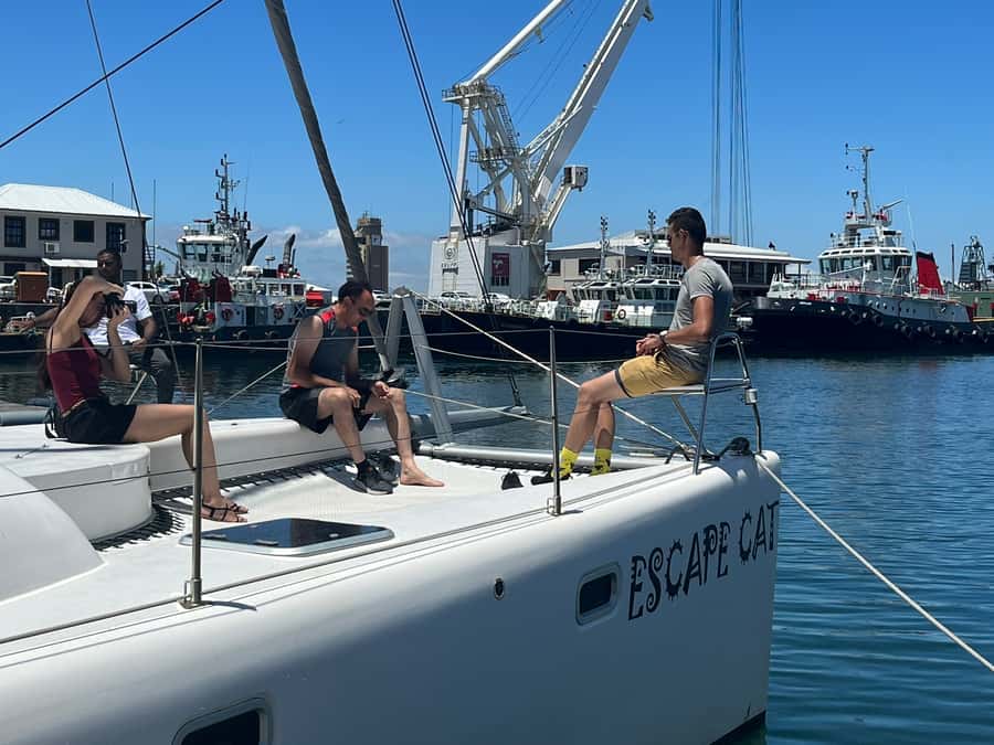 Cape Town: Table Bay Cruise by Catamaran - The crew, wildlife, and feel on board