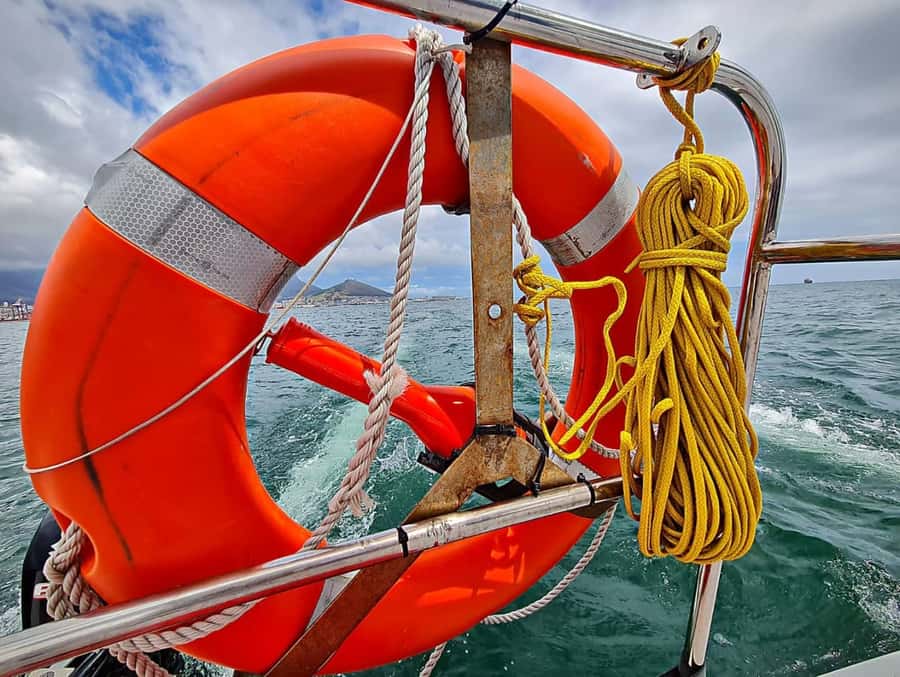 Cape Town: Table Bay Cruise by Catamaran - Starting at Wild Horizons Waterfront Adventures