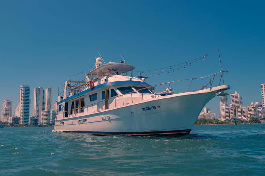 Cartagena: Cruise by the Bay with Dinner and Wine - Night views of Manga, Getsemani, and the old city