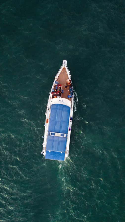 Cartagena: Cruise by the Bay with Dinner and Wine - Who will enjoy this evening most?