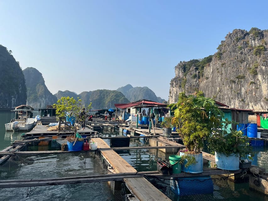 Cat Ba: 2-Day Lan Ha Bay Cruise with Plankton Excursion - Who Should Book This Lan Ha Bay Cruise?