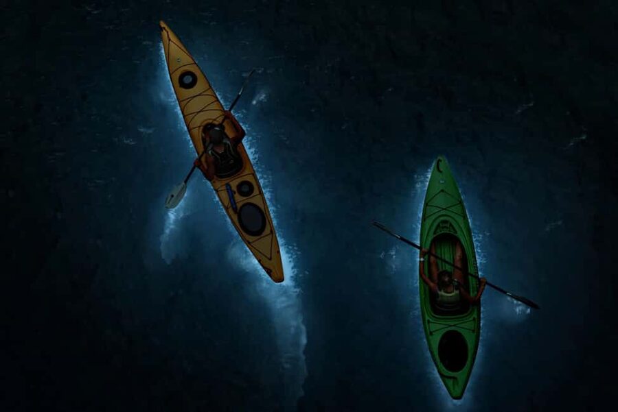 Cat Ba: 2-Day Lan Ha Bay Cruise with Plankton Excursion - Night on the Bay: What the Homestay Is Really Like