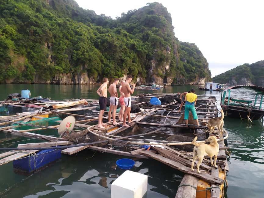 Cat Ba: 2-Day Lan Ha Bay Cruise with Plankton Excursion - Lunch, Islets, and the Return Cruise