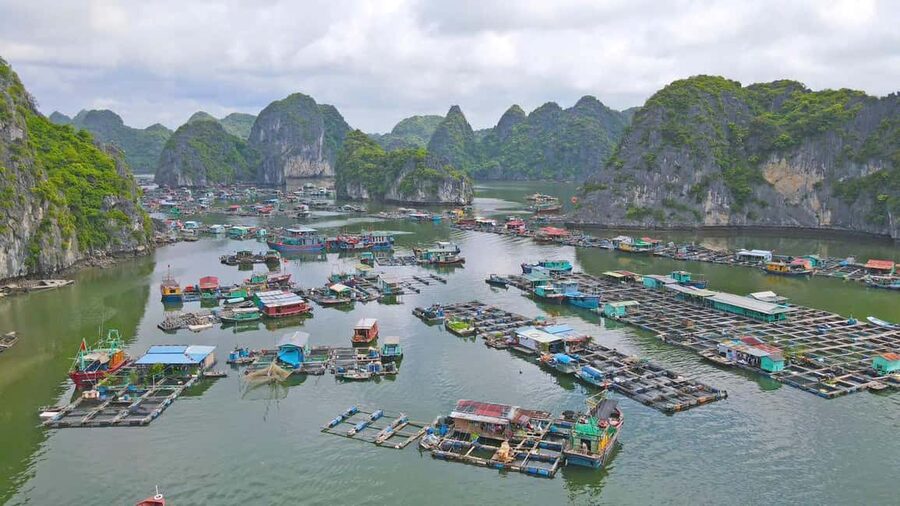 Cat Ba/Ha Noi: Lan Ha and Monkey Island Full Day Boat Trip - Lunch on board