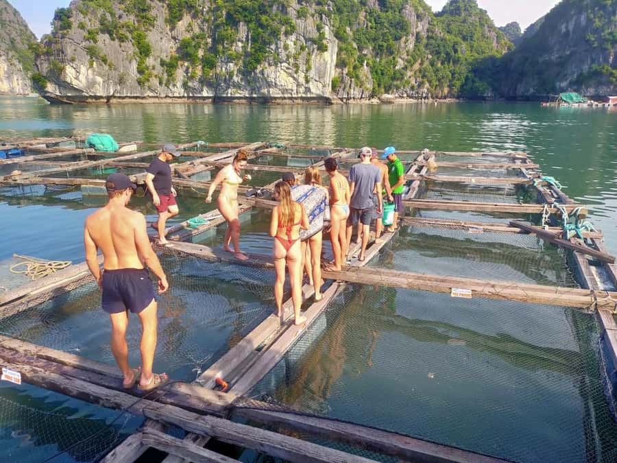 Cat Ba Island: Full-Day Cruise to Lan Ha Bay and Ha Long Bay - Boat comfort, timing, and what to pack