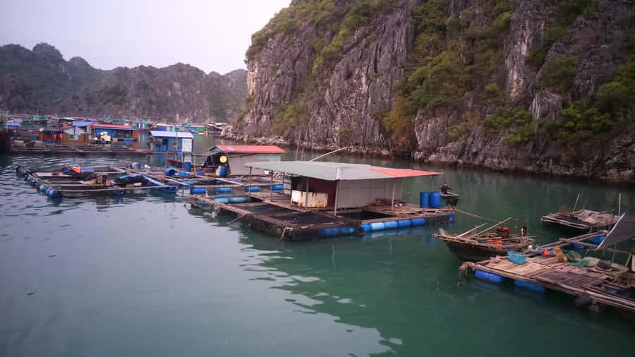 Cat Ba Island: Full-Day Cruise to Lan Ha Bay and Ha Long Bay - Starting at Beo Pier from Cat Ba