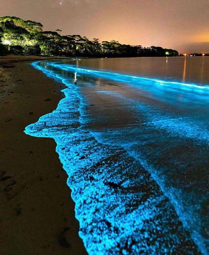 Cat Ba Island: Lan Ha Bay Bioluminescence Plankton Kayaking - Why the glowing water is the main event
