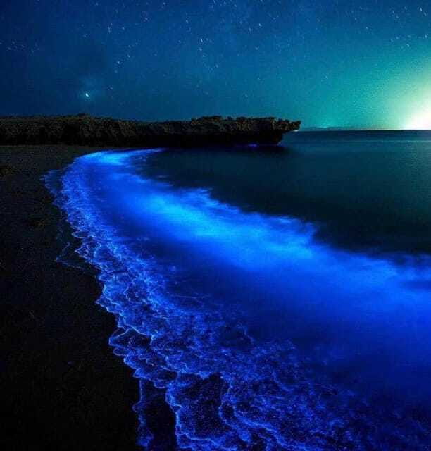 Cat Ba Island: Lan Ha Bay Bioluminescence Plankton Kayaking - Monkey Island beach and sunset