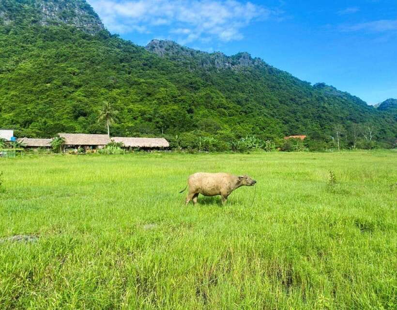 Cat Ba Island-Lan Ha Bay Day Trip: Kayaking, Swimming,Biking - Passing Cai Beo and its sea-based community