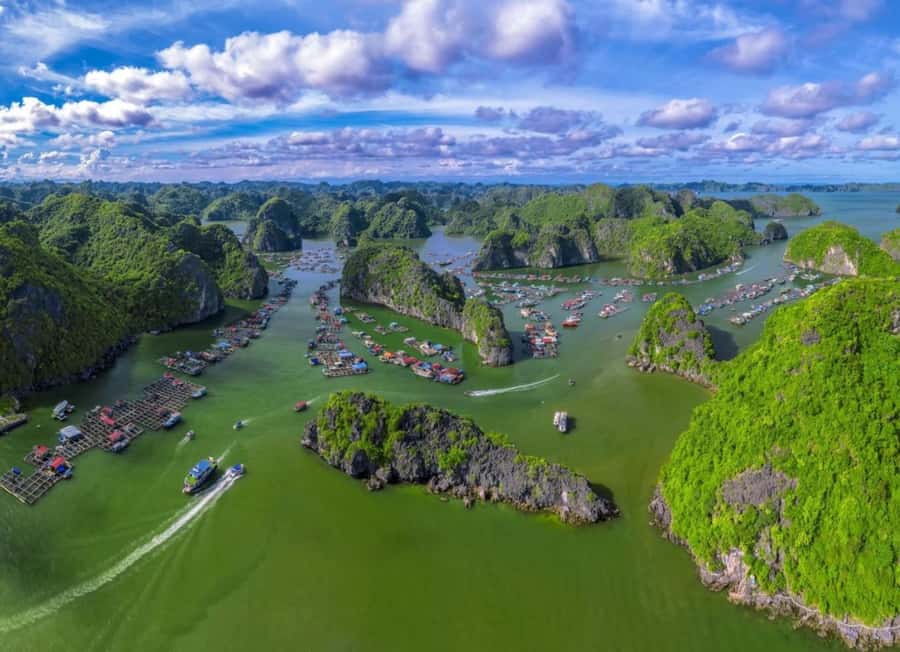 Cat Ba Island - Lan Ha Bay Sunset Tour: Kayak and Swim - What the $25 Price Really Covers