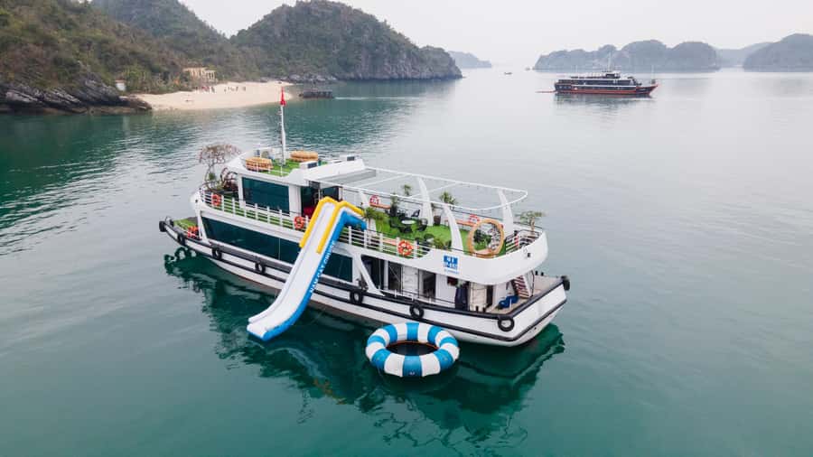 Cat Ba : Lan Ha Bay Bioluminescent Plankton Kayak Boat Tour - Why the plankton makes this Cat Ba trip special