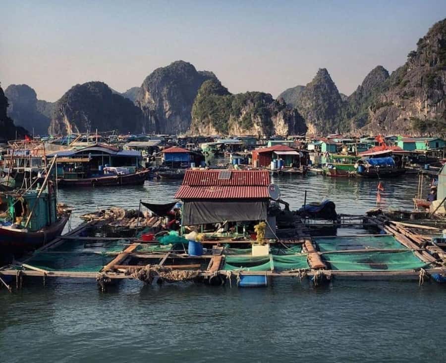 Cat Ba : Lan Ha Bay Bioluminescent Plankton Kayak Boat Tour - Monkey Island, beach time, and a rough little climb