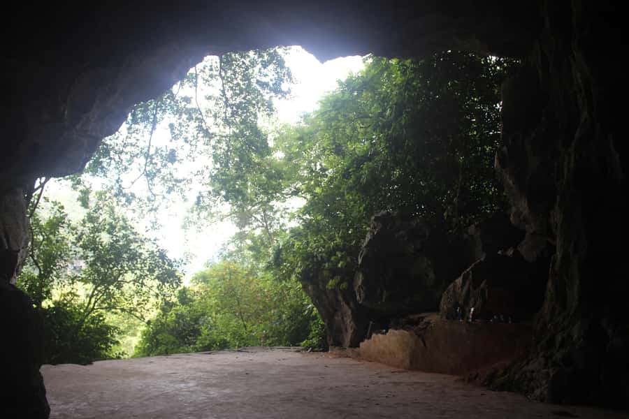 Cat Ba: Lan Ha Bay Halfday Cruise with Kayaking - What the $20 price really includes