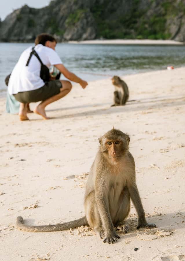 Cat Ba: Lan Ha & Ha Long Bay Kayak & Snorkel Boat Tour - Guides make the difference