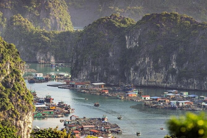 Cat Ba: Sunset & Bioluminescent Kayaking on Lan Ha Bay - Dinner with local specialties on board