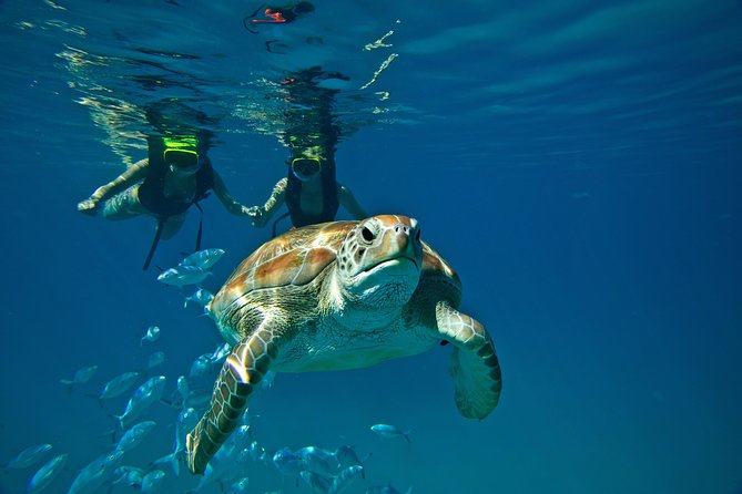Catamaran and Snorkeling Cruise At Carlisle Bay - The Shipwreck Stop Is the Main Event