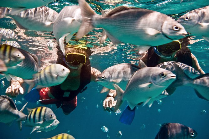 Catamaran and Snorkeling Cruise At Carlisle Bay - Pickup and Scheduling Need Extra Attention