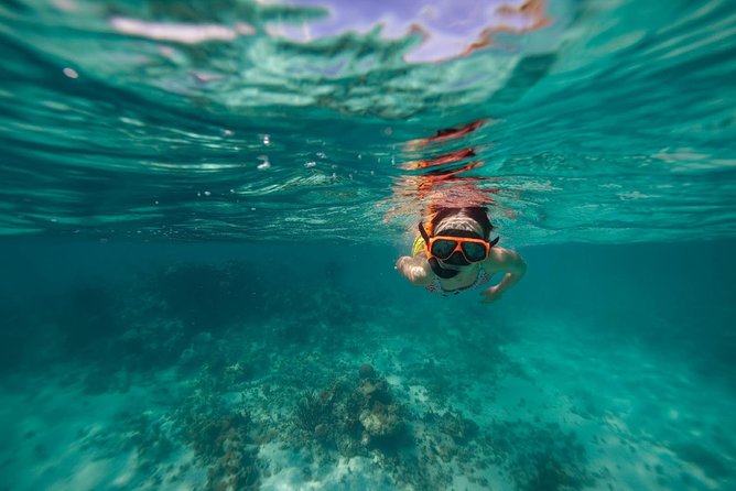 Catamaran and Snorkeling Cruise At Carlisle Bay - Swimming With Turtles in Clear Water
