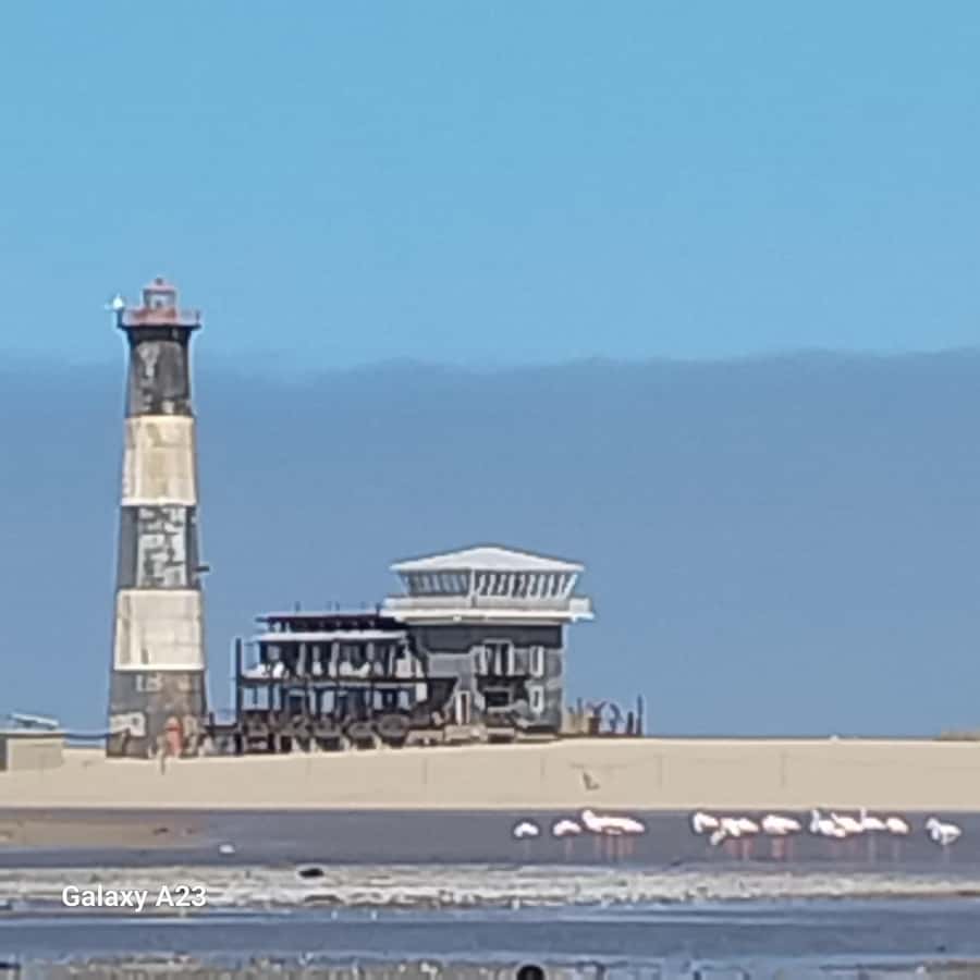 Catamaran Dolphin Cruise and Sandwich Harbour Tour - Oysters, sparkling wine, and a practical lunch