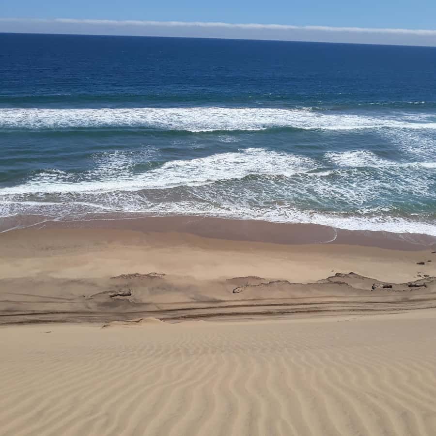 Catamaran Dolphin Cruise and Sandwich Harbour Tour - From Walvis Bay wetlands to the Pink Salt Lakes