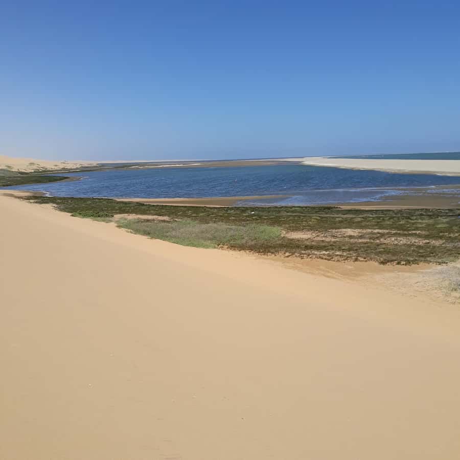 Catamaran Dolphin Cruise and Sandwich Harbour Tour - How much value do you get for $224?