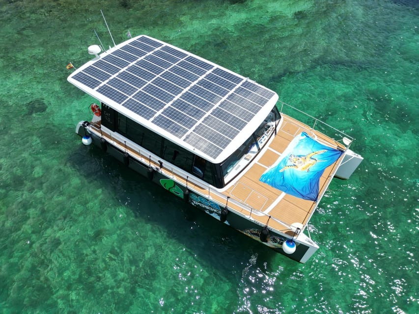 CATAMARAN ECO EXPERIENCE at Palma Bay - Key points to know before you book