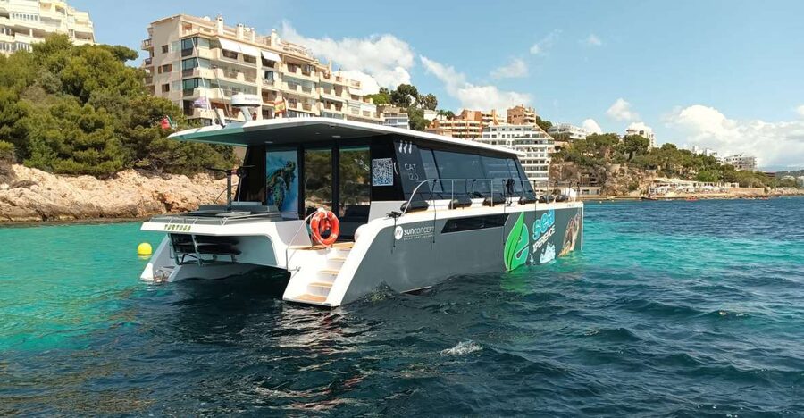 CATAMARAN ECO EXPERIENCE at Palma Bay - Booking details that affect your plans