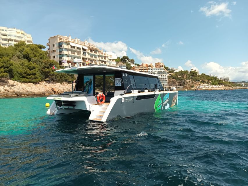 CATAMARAN ECO EXPERIENCE at Palma Bay - Is $1,825 good value?