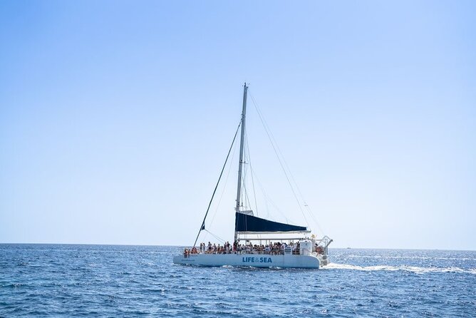 Catamaran with BBQ in the Bay of Palma - Music, dancing, and the social mood