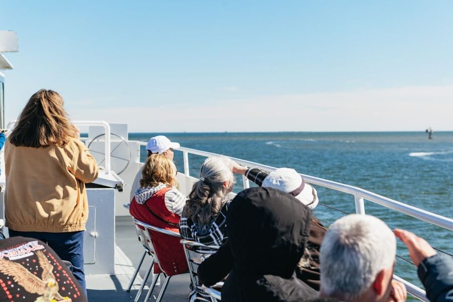 Charleston: Daytime or Sunset Historic Harbor Cruise - Dolphins, pelicans, and the open water