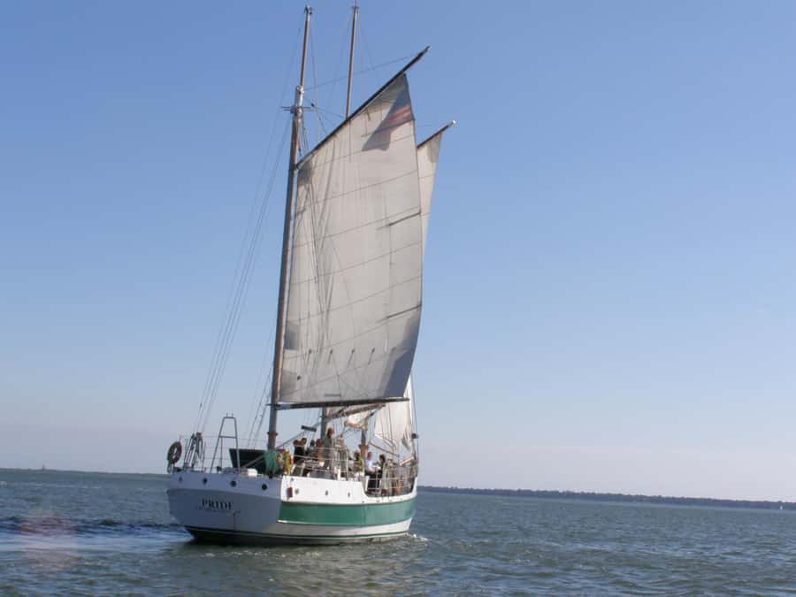 Charleston: Schooner Sailing Harbor Tour & Dolphin Watch - What the 1.5-hour route actually feels like