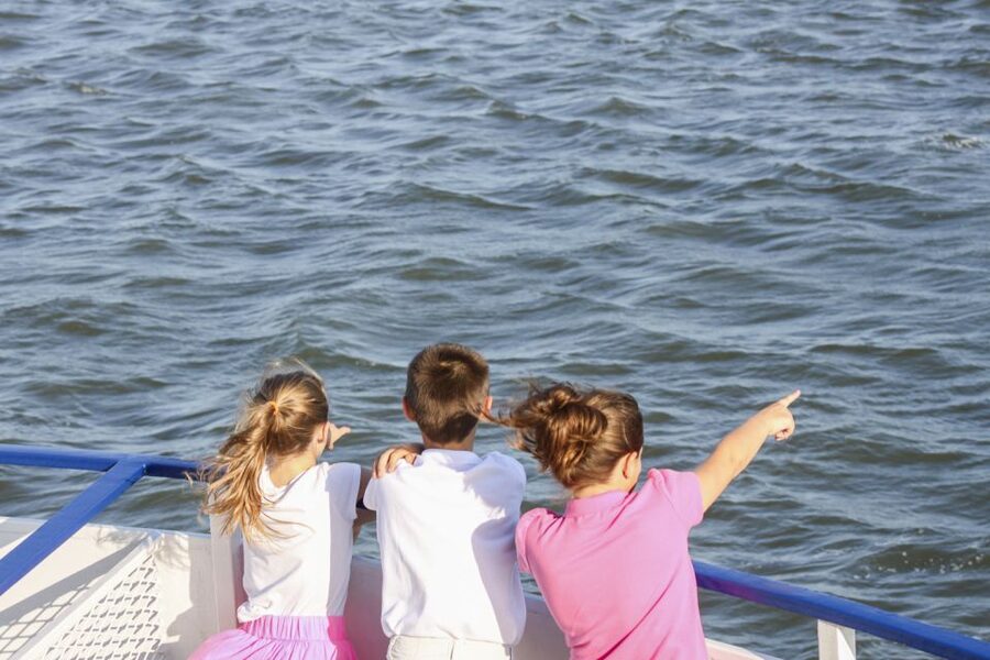 Charleston: Sightseeing Harbor Tour & Dolphin Watch - What the guide adds to the $40 price