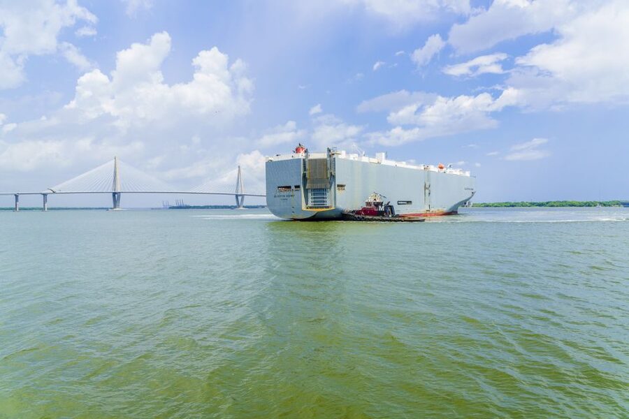 Charleston: Sightseeing Harbor Tour & Dolphin Watch - Ravenel Bridge and the modern Charleston skyline