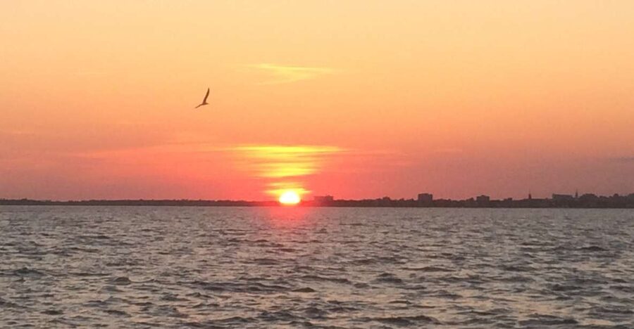 Charleston: Sunset Harbor Cruise - Fort Sumter, islands, and harbor landmarks